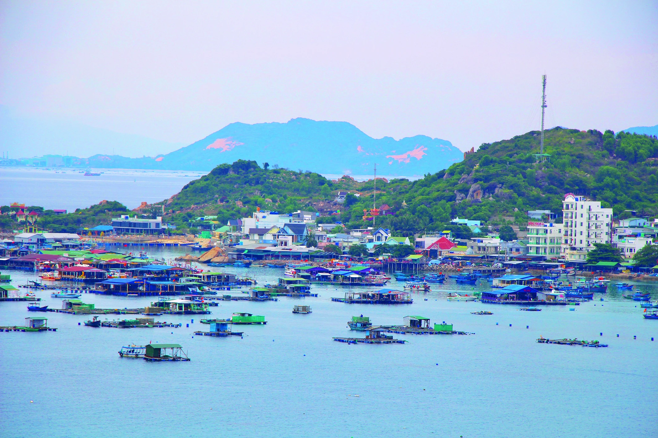Đảo Bình Hưng nhìn từ xa với vô số nhà bè nuôi hải sản kết hợp phục vụ du khách