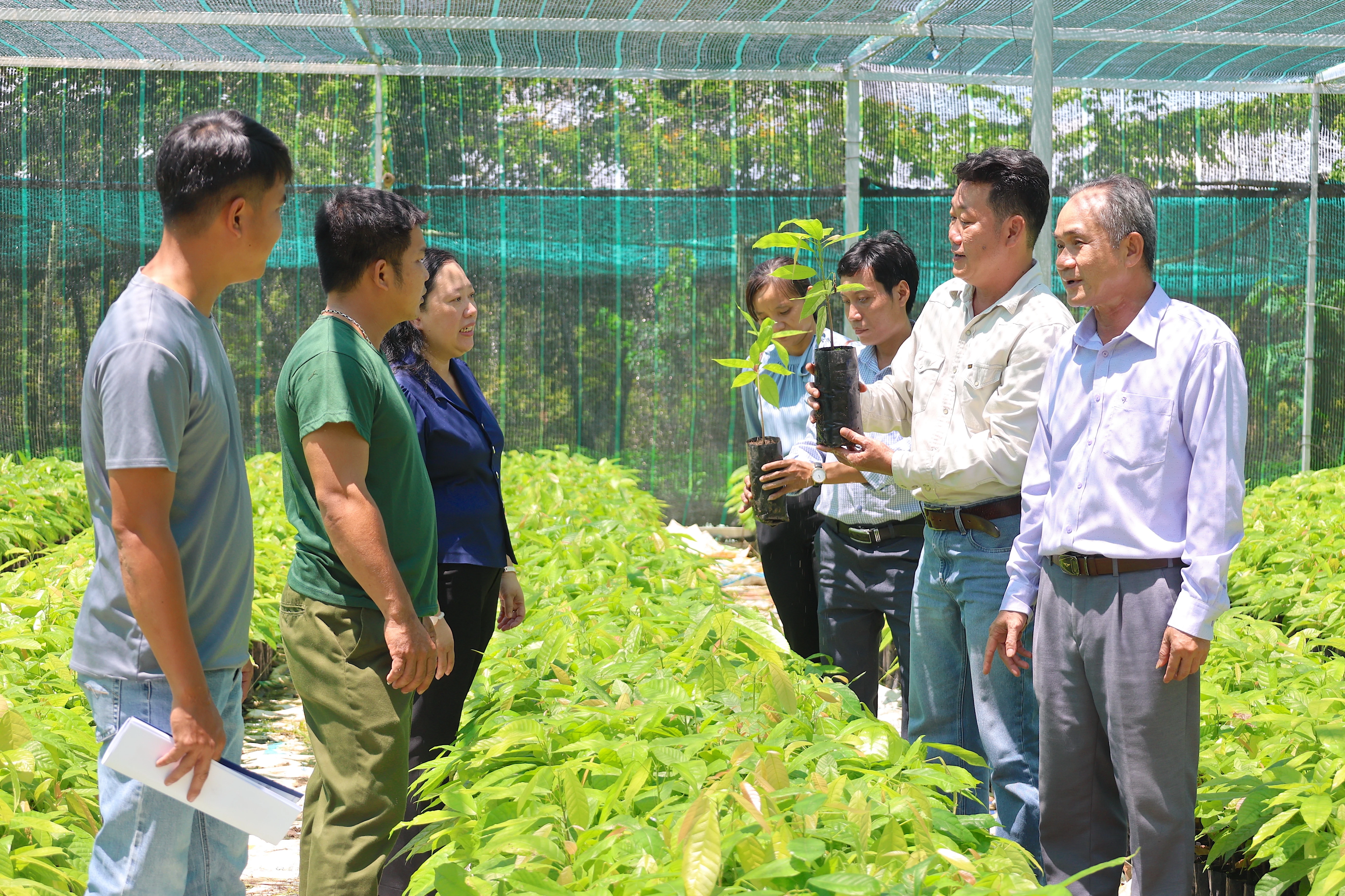 Đại diện Liên minh HTX tỉnh và Hội Nông dân huyện Tân Biên tham quan vườn ươm cây ca cao của Hợp tác xã nông lâm ca cao Tây Ninh.