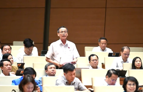 Đại biểu Quốc hội Trần Hữu Hậu: "Mong rằng dòng thác cách mạng sẽ quét sạch những cái xấu, để đất nước cất cánh"