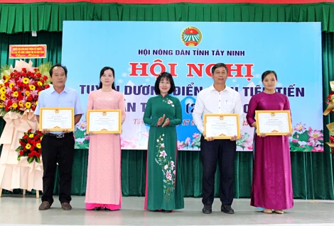 Phong trào thi đua yêu nước của nông dân tỉnh nhà không ngừng đổi mới, phát triển