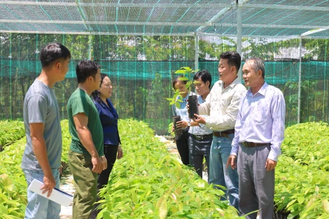 Tăng cường hiệu quả hoạt động của kinh tế tập thể