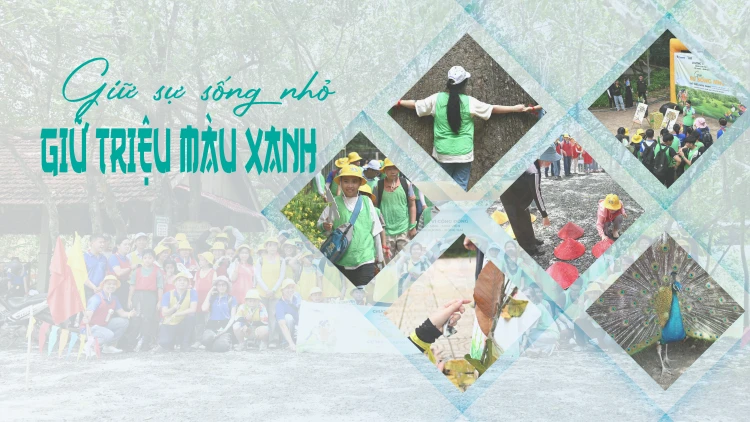 Giữ sự sống nhỏ - Giữ triệu màu xanh