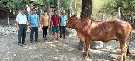 Nông dân phường An Hoà nỗ lực thi đua sản xuất, kinh doanh giỏi