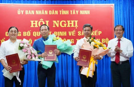 Sắp xếp, kiện toàn Trung tâm Phát triển quỹ đất tỉnh và Ban Quản lý dự án đầu tư xây dựng tỉnh