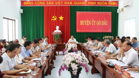 Gò Dầu: 6 tháng đầu năm 2025, kinh tế - xã hội đạt nhiều kết quả tích cực