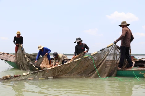 Tổng điều tra nông thôn, nông nghiệp năm 2025 từ ngày 1.7