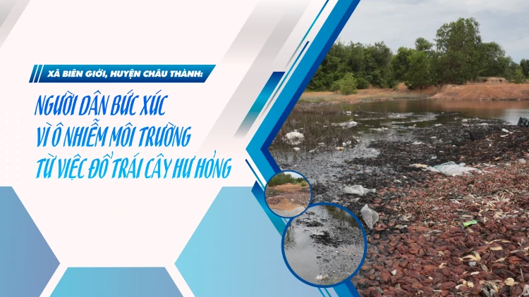 Xã Biên Giới, huyện Châu Thành: Người dân bức xúc vì ô nhiễm môi trường từ việc đổ trái cây hư hỏng