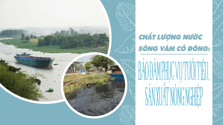 Chất lượng nước sông Vàm Cỏ Đông: Bảo đảm phục vụ tưới tiêu, sản xuất nông nghiệp