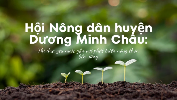 Hội Nông dân huyện Dương Minh Châu: Thi đua yêu nước gắn với phát triển nông thôn bền vững