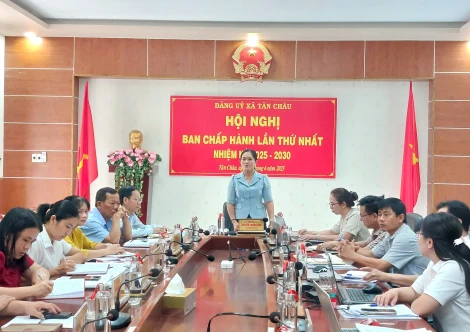 Vận hành thử nghiệm cơ chế họp Ban Chấp hành Đảng bộ xã Tân Châu