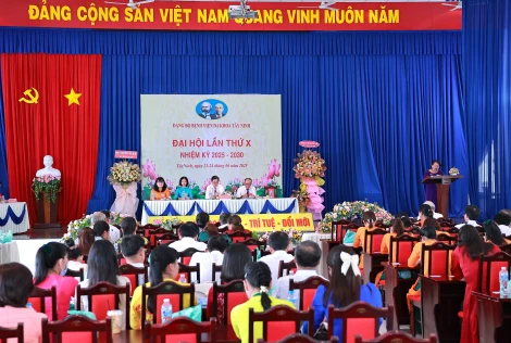 Phát huy vai trò của khoa học - công nghệ, đổi mới sáng tạo để phát triển nhanh, bền vững