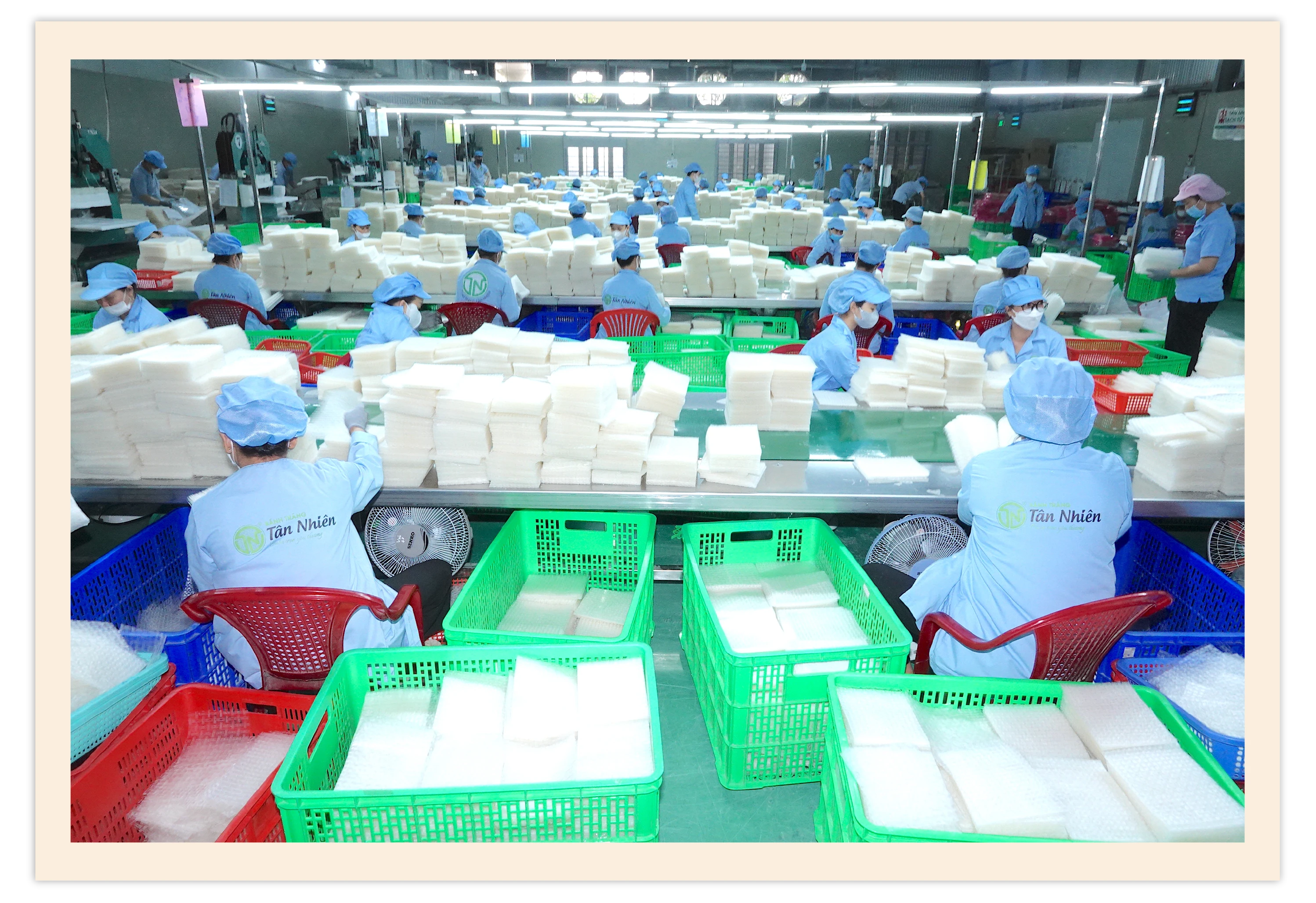 Công ty TNHH Tân Nhiên (thị xã Hoà Thành) có sản phẩm đạt chuẩn OCOP 5 sao.