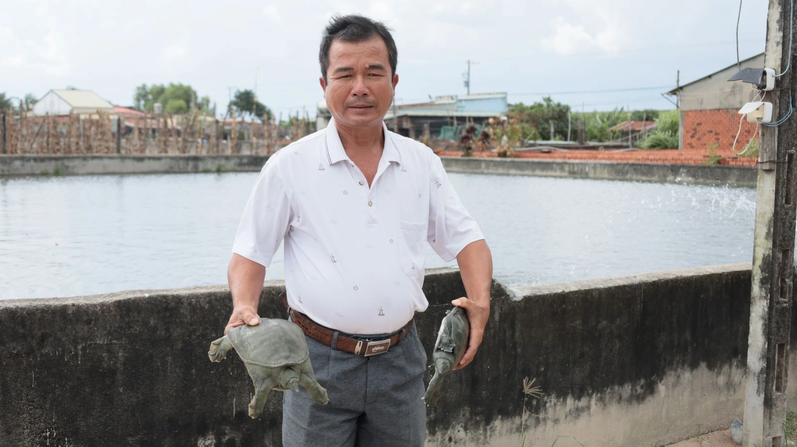 Ông Phạm Văn Toại phát triển kinh tế ổn định nhờ mô hình nuôi ba ba thương phẩm.