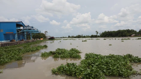 Sông Vàm Cỏ Đông thông thoáng, bảo đảm lưu thông thuận lợi