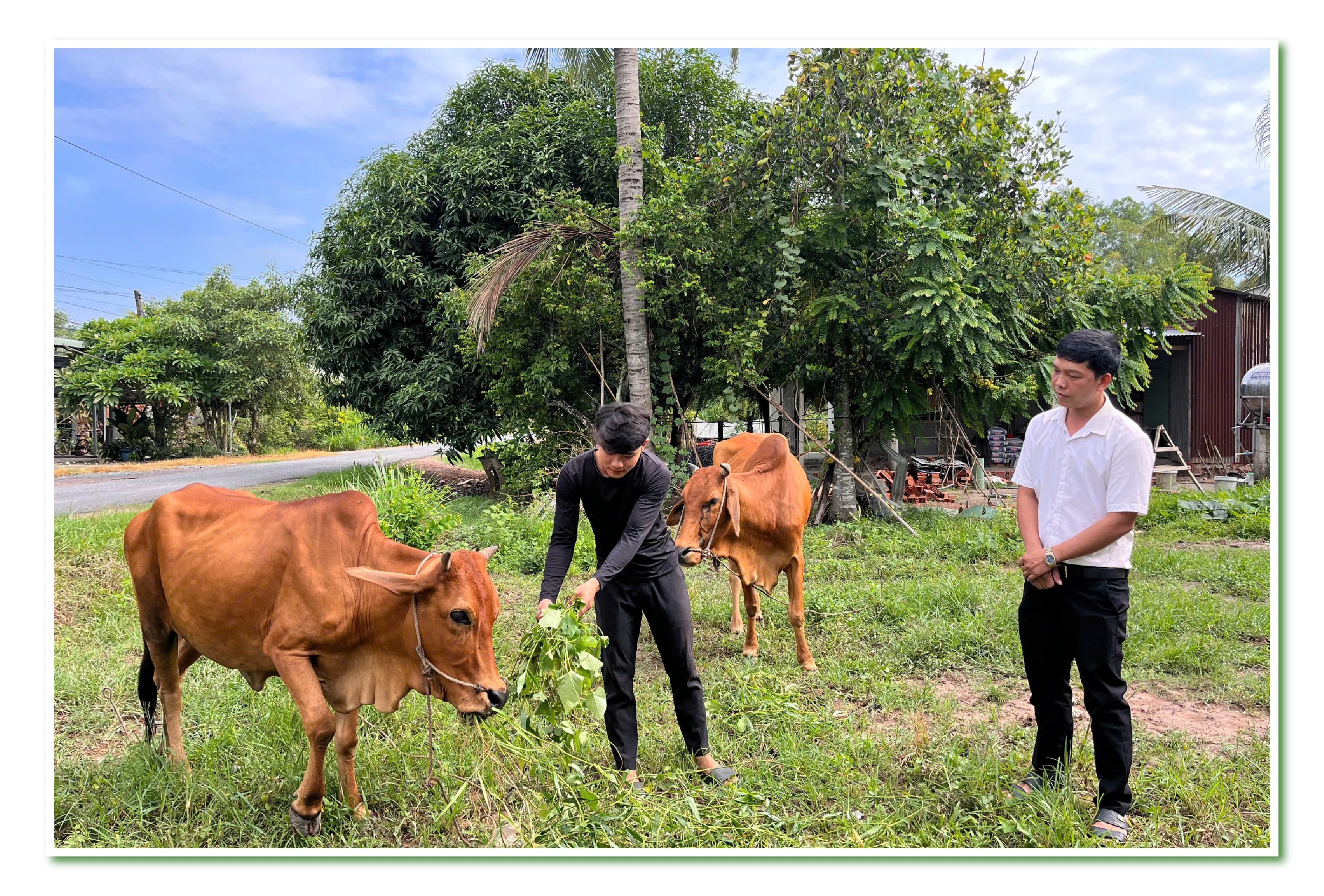Nhờ nguồn vốn vay, thanh niên hoàn thành NVQS có việc làm ổn định, phát triển kinh tế gia đình