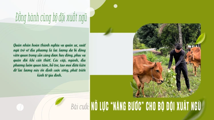 Bài cuối: Nỗ lực “nâng bước” cho bộ đội xuất ngũ