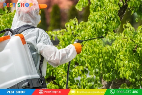 So sánh bình phun thuốc sâu bằng tay và bằng điện chi tiết