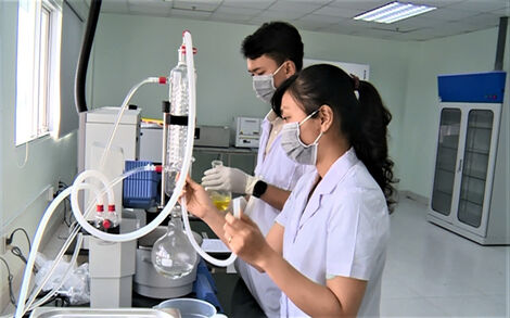 Hướng đến top 10 cả nước về đổi mới sáng tạo và chuyển đổi số