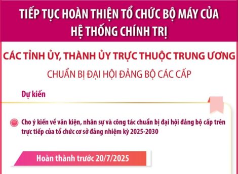 Các tỉnh ủy, thành ủy Trung ương chuẩn bị cho đại hội đảng bộ các cấp