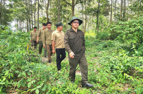 Ngăn chặn kịp thời nhiều vụ phá rừng