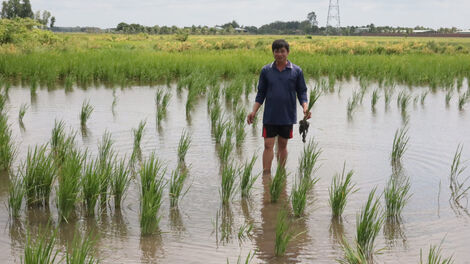 Xã Hưng Thuận: Nông dân lo ngập úng tại cánh đồng Ba Cụm