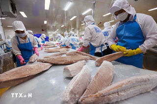 Khuyến khích, hỗ trợ doanh nghiệp đầu tư chế biến sâu để đẩy mạnh xuất khẩu