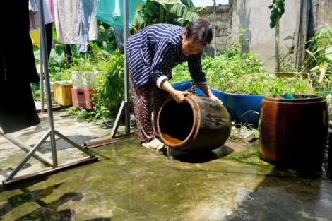 Tây Ninh: Số ca mắc sốt xuất huyết tăng cao