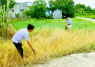 Đề xuất phân bổ 793 tỉ đồng tiếp tục chi bồi thường dự án đường cao tốc TP.HCM - Mộc Bài