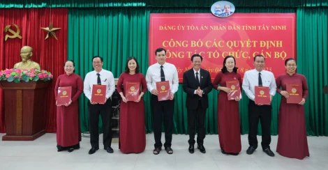 Đảng ủy Tòa án Nhân dân tỉnh công bố các quyết định công tác tổ chức, cán bộ