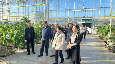 Tây Ninh thúc đẩy quan hệ hữu nghị và hợp tác đầu tư – thương mại – du lịch tại Australia