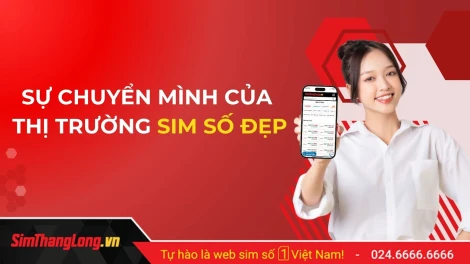 Thị trường SIM số đẹp năm 2025 có gì nổi bật và xu hướng 2026