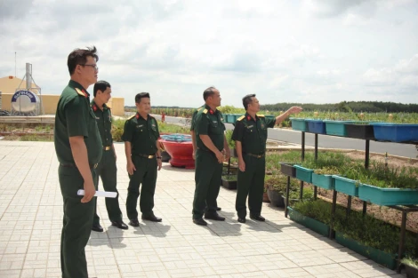 Bộ Chỉ huy Quân sự tỉnh kiểm tra công tác tăng gia sản xuất tại Trung đoàn 174