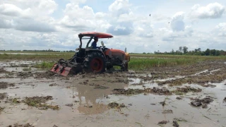Nông dân vệ sinh đồng ruộng, đón nhận phù sa từ mùa nước nổi