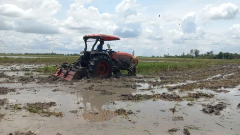 Nông dân vệ sinh đồng ruộng, đón nhận phù sa từ mùa nước nổi