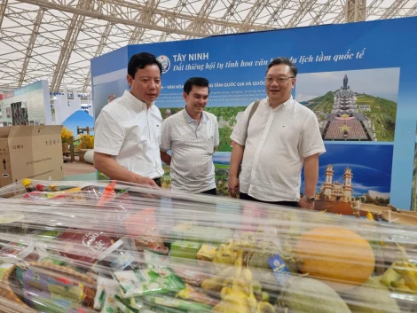 Phó Chủ tịch UBND tỉnh Phạm Tấn Hòa kiểm tra tiến độ thi công không gian trưng bày Tây Ninh tại Hà Nội