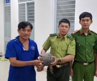 Người dân phát hiện cá thể tê tê và báo cơ quan chức năng