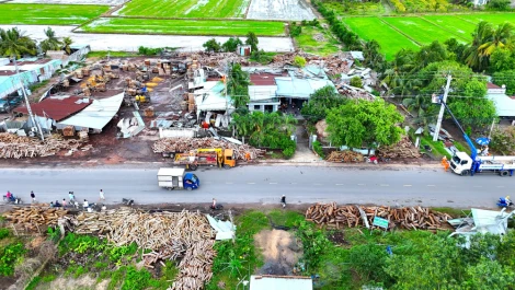 Khoảng 12h20 trưa 25/8, trên địa bàn Tây Ninh (cũ) xuất hiện mưa lớn diện rộng, trong cơn mưa kèm theo lốc xoáy, gây ảnh hưởng, thiệt hại đến tài sản, hoa màu của người dân, không thiệt hại về người.