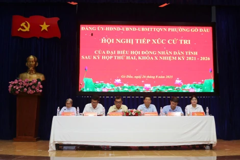 Phó Bí thư Thường trực Tỉnh ủy Nguyễn Mạnh Hùng tiếp xúc cử tri tại phường Gò Dầu