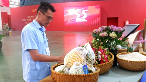 Thực hiện kế hoạch của UBND tỉnh về tham gia trưng bày triển lãm “Tây Ninh – Khát vọng hội nhập và phát triển bền vững” nhân dịp kỷ niệm 80 năm ngày Quốc khánh (02/9/1945 - 02/9/2025) tại Trung tâm Triển lãm quốc gia (dự kiến diễn ra từ ngày 28/8 - 05/9/2025, tại Thủ đô Hà Nội), đến nay, đơn vị tỉnh Tây Ninh cơ bản hoàn thành công tác chuẩn bị, sẵn sàng phục vụ du khách tham quan, trải nghiệm.