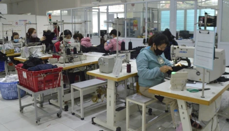 Tây Ninh triển khai kế hoạch hỗ trợ pháp lý cho doanh nghiệp nhỏ và vừa