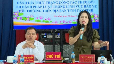 Đánh giá thực trạng công tác theo dõi thi hành pháp luật trong lĩnh vực bảo vệ môi trường tại Tây Ninh
