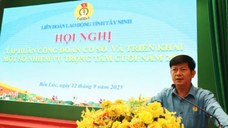 Gần 1.000 cán bộ công đoàn tham gia tập huấn, triển khai nhiệm vụ trọng tâm cuối năm 2025