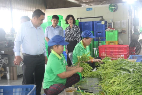 Lãnh đạo xã Rạch Kiến khảo sát hoạt động hợp tác xã và tuyến đường Lê Văn Duyệt