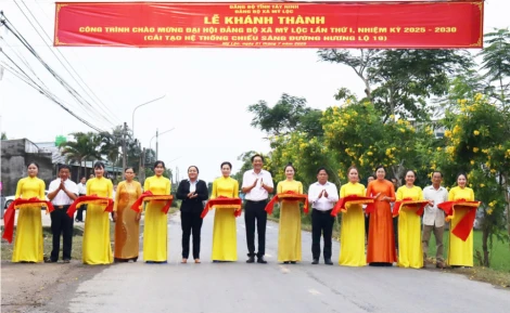 Xã Mỹ Lộc huy động gần 286,5 tỉ đồng đầu tư xây dựng nông thôn mới