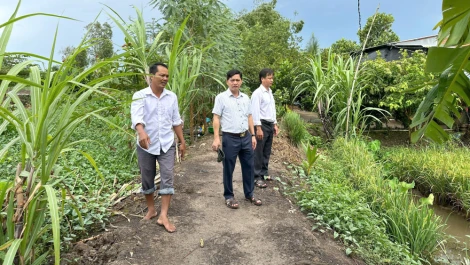 Lãnh đạo UBND xã Tân Thạnh kiểm tra tình hình sản xuất nông nghiệp