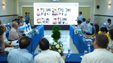 Sáng 02/10, tại phường Tân Ninh, tỉnh Tây Ninh, Viện Di truyền Nông nghiệp (thuộc Viện Khoa học Nông nghiệp Việt Nam) tổ chức Hội thảo khoa học thuộc dự án “Nghiên cứu ứng dụng chỉ thị phân tử trong phát triển giống sắn (khoai mì) kháng bệnh khảm lá, có kiểu hình thân thẳng, hàm lượng tinh bột ổn định, năng suất cao”.