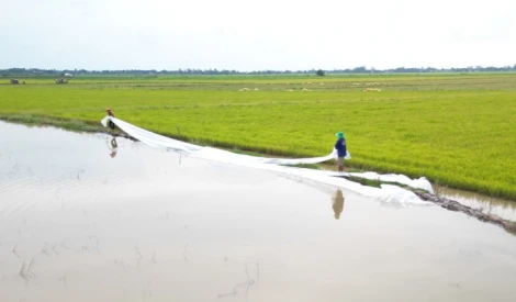 Ngày 04/10, Phó Giám đốc Sở Nông nghiệp và Môi trường Đinh Thị Phương Khanh làm trưởng đoàn có buổi kiểm tra, khảo sát các tuyến đê xung yếu tại xã Hưng Điền.