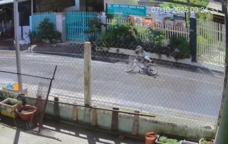 Bé trai khóc nức nở vì bị cướp 140 tờ vé số