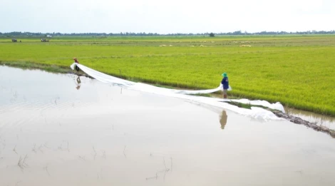 Cảnh báo nguy cơ ngập diện rộng do triều cường đạt đỉnh