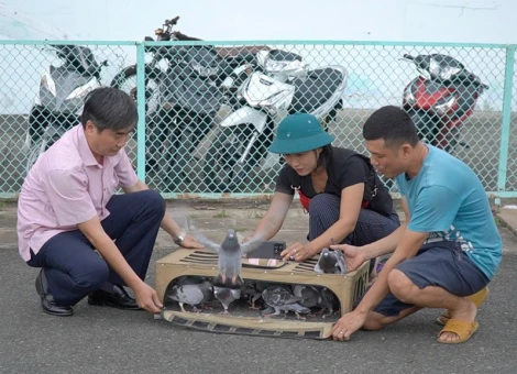 Sẵn sàng cho Giải bóng đá chào mừng Ngày Doanh nhân Việt Nam 13/10 – Cúp Báo Tây Ninh lần thứ XV năm 2025